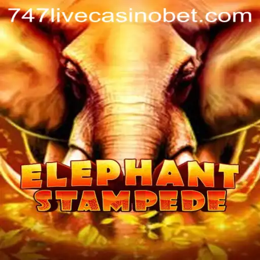Exploring ElephantStampede: A Thrilling Adventure with 747 Live Casino