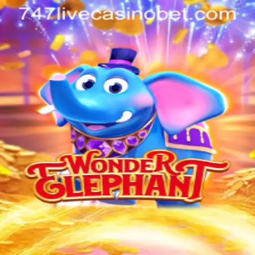 Discover the Wonderland of WonderElephant: A Journey into 747 Live Casino